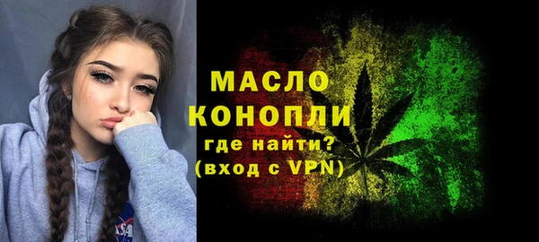тгк Абаза