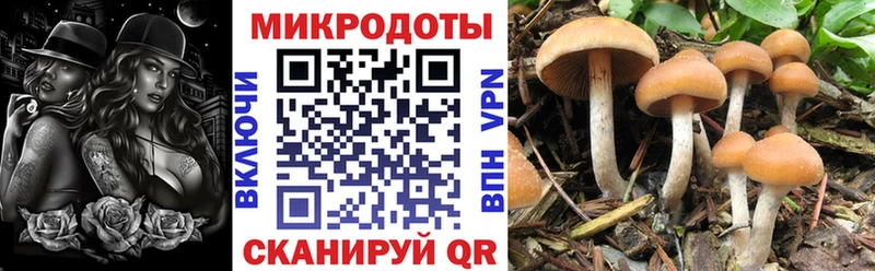 Галлюциногенные грибы Cubensis  Иваново 