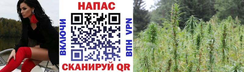 МАРИХУАНА SATIVA & INDICA  как найти   Иваново 